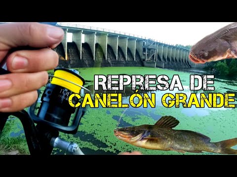 ARROYO CANELON GRANDE, RUTA 5, TODOS PESCAMOS, PESCA y COCINA en PESCA EXTREMA