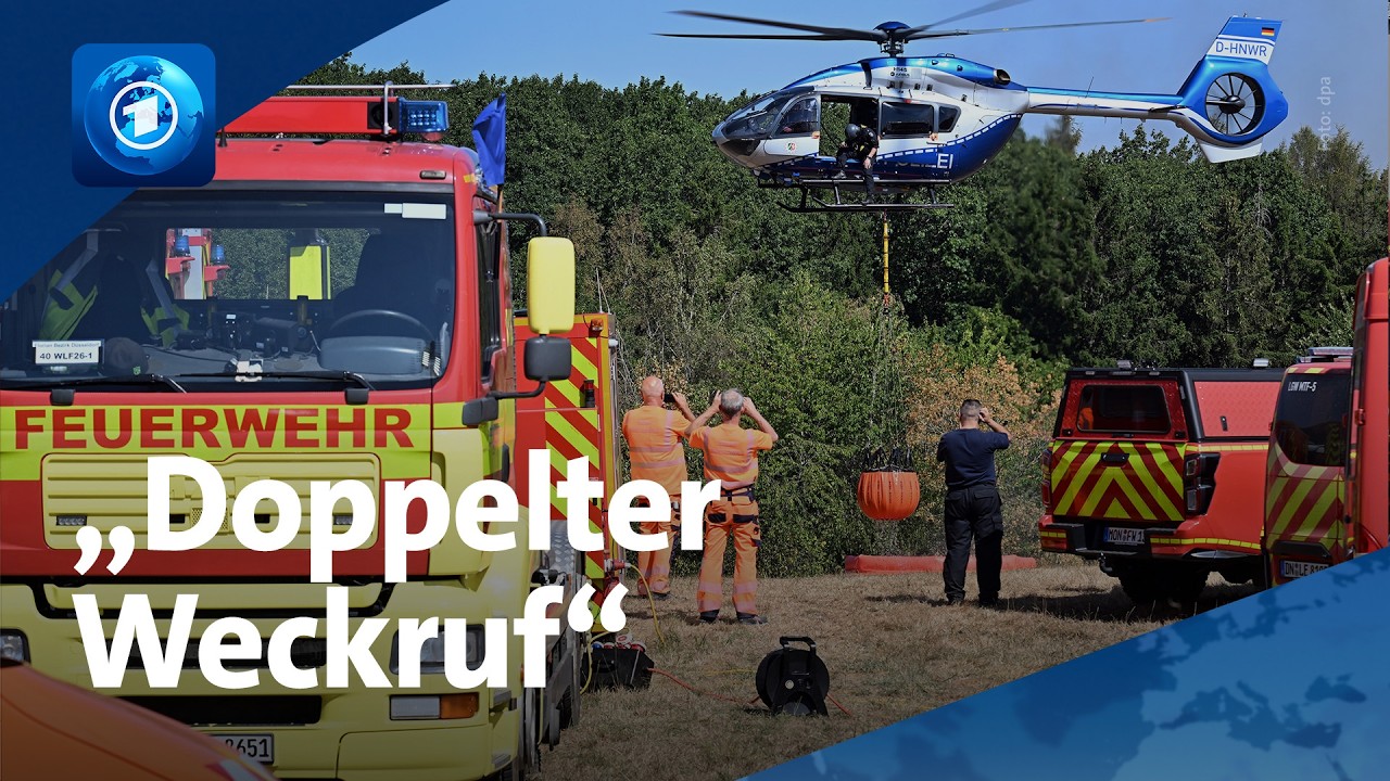 Waldbrand-Experte über Feuer in der Eifel: "Mit so einem Brand war tatsächlich zu rechnen"
