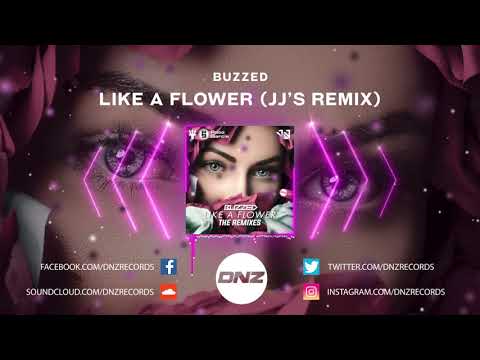 DNZ377 // BUZZED - LIKE A FLOWER JJ'S REMIX (Official Video DNZ Records)