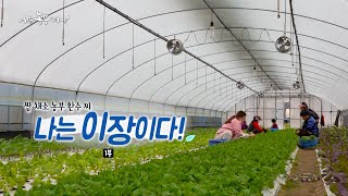 [190회_1부] 쌈 채소 농부 완수 씨, 나는 이장이다!