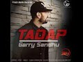 TADAP Ft Garry Sandhu ! Slowed and Reverb 🖤