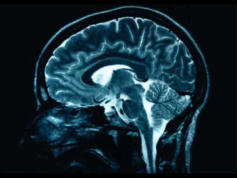 Dark Lordz Dark Lordz ZAVINAGI