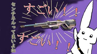 【APEX】センチネル楽しい