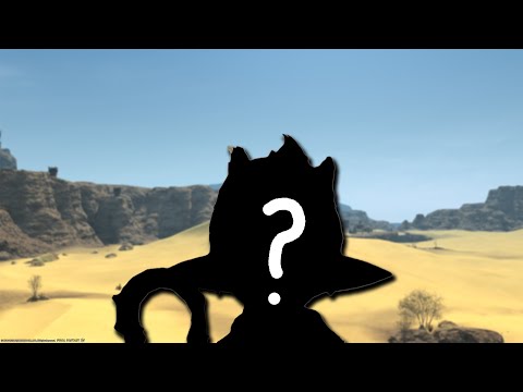 A New Challenge Begins...