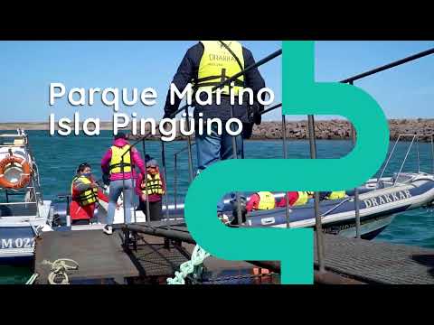 Portada video
