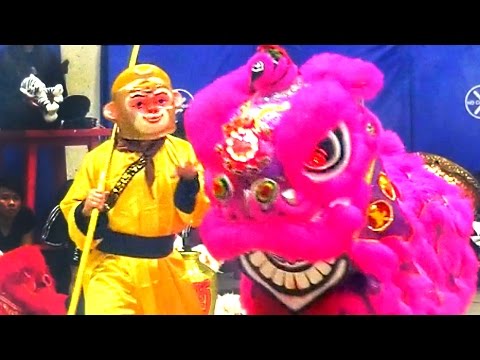 2016 Monkey and Lion Dance Performance - Boston Chinatown Main Street Community &amp Competition Event