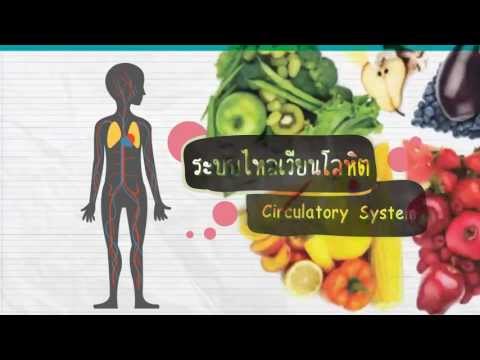ยาแรงเพื่อความสนุกสนาน ค้อนของ ธ อร์ในร้านค้าเครื่องประดับ