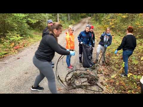 Maailmakoristuspäev