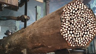 Download lagu An extraordinary incident while sawing large teak tree at sawmill mp3 Download lagu An extraordinary incident while sawing large teak tree at sawmill mp3