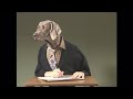 William Wegman Alphabet Soup Desk Doesn T Start With D