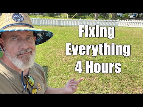 Fix Ugly Lawn FAST - Do it ALL in 1 Day