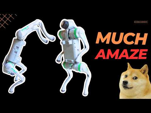 I tried EVERY function of this robot dog