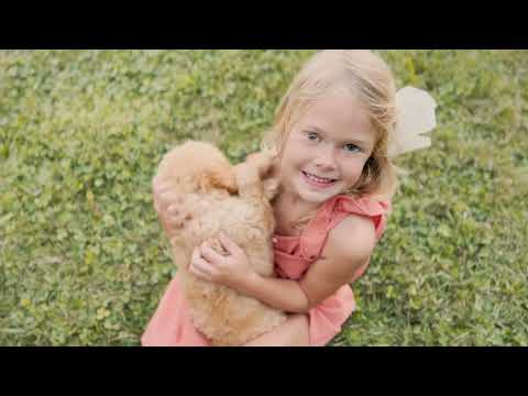 Over 50 Smith County children need a home