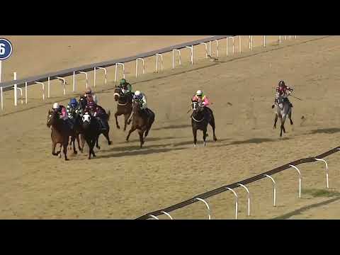 ELECTRIC GOLD -  RACE 7 #turffontein 09 JULY 2022