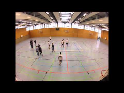 #idm16: Hässliche Erdferkel - Disc-o-Fever