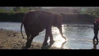 Sook-Jai was crying during her rescue