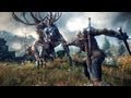 Video produktu PC - Zaklínač 3: Divoký Hon (The Witcher 3)