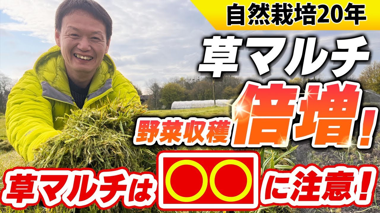 草マルチで土の力を活かす実践のコツ