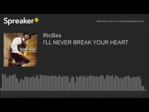 I'LL NEVER BREAK YOUR HEART