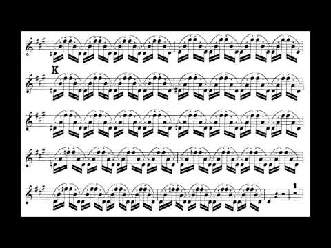 Svendsen, Johan S. violin concerto op.6