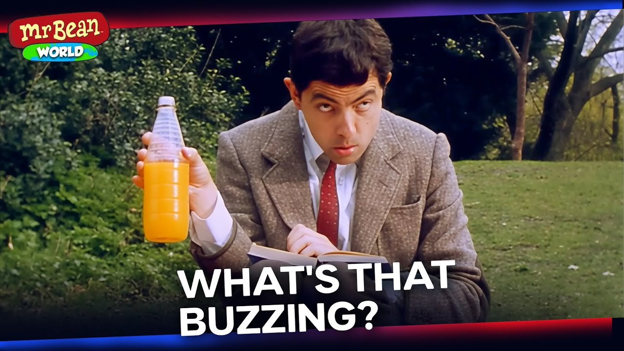 Mr Bean’s Picnic Adventure! | Mr Bean Live Action Season 1 | Mr Bean World