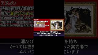 元巨兵海賊団 船長 「滝ひげのヨルル」を紹介！ #ワンピース #onepiece #ワンピースキャラを30秒で紹介