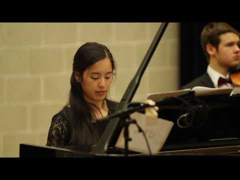 JuKO Karneval der Tiere - Aquarium