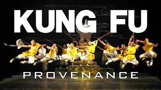 Journey to Shaolin:The Birthplace of Kung Fu