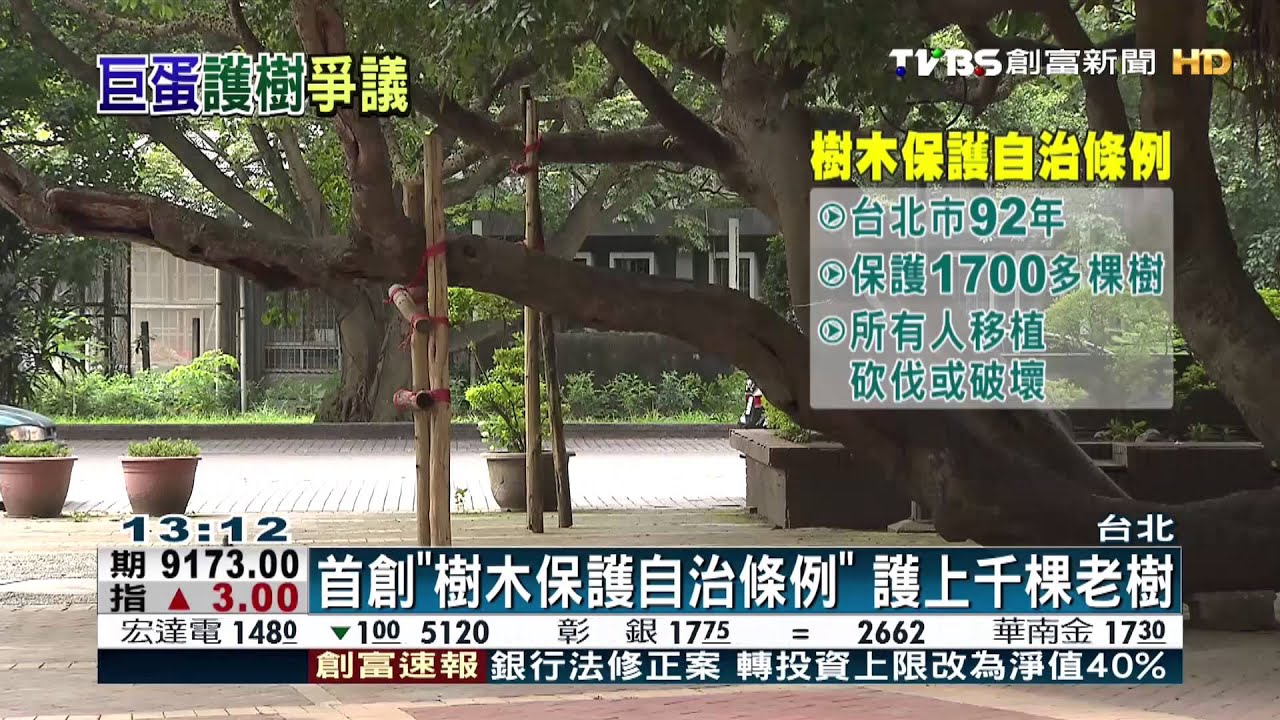 台北市首次補助受保護老樹　最高10萬