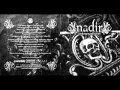 Nadir - Looks Can Be Deceiving (Skinlab cover)