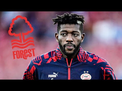Ibrahim Sangaré - Welcome to Nottingham Forest - Goals & Highlights