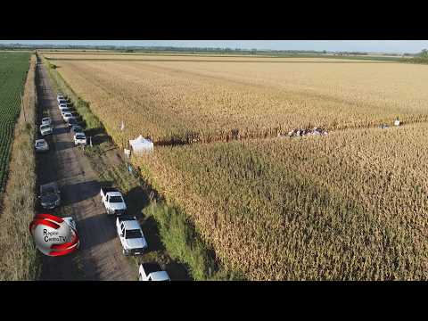 CADAL y ACA Jornada de MAIZ en Correa (S.fe)