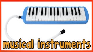Musical Instruments Sounds for Kids | Learn the Voice, Tone, and Melody