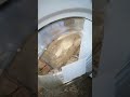 Beko Wtb Overview
