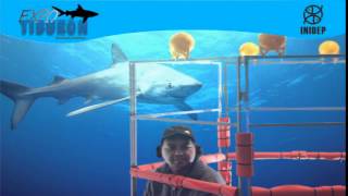 DIA 3 Expo Tiburon196