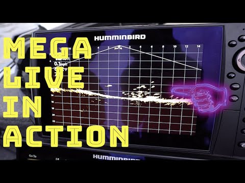 NEW HUMMINBIRD MEGA LIVE!!! (First Experience with it on the Water)