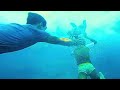 Lilo Stitch 2025 Nani Saves Lilo From Drowning Recaps