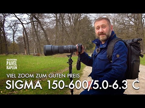 Viel Zoom zum guten Preis: Sigma 150-600 Contemporary
