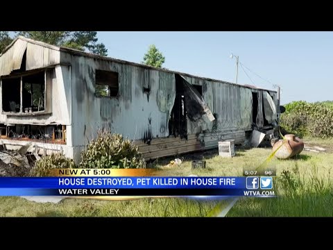 VIDEO: Water Valley house fire leaves family homeless, kills dog