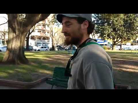 Cien pesos por sacar a pasear una hora al perro
