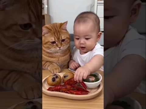 cat & baby #funny #comedy #funnyshorts