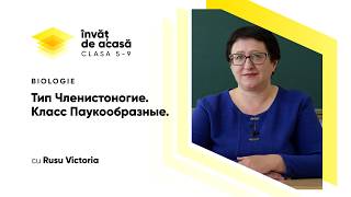 Тип Членистоногие. Класс Паукообразные