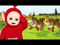 Teletubbies Special Animals Compilation 3 Hours Of Teletubbies Animal Parade