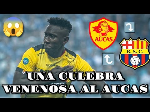 ERICK CASTILLO NO VA MAS EN BARCELONA, UNA CULEBRA VENENOSA AL AUCAS #like #suscribete