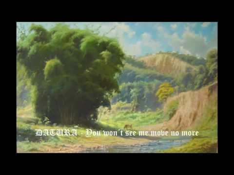 DΛTURΛ - You won't see me move no more