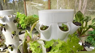 High Density Tower Propagation Module + Hydroponic System Updates