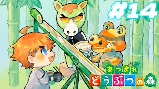 【あつまれ どうぶつの森】久しぶりの配信、久しぶりの森【北見遊征/にじさんじ】