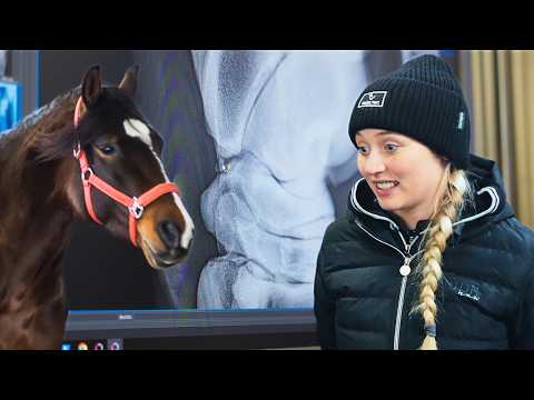 Große SORGE um IBERO