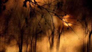 dave gahan - saw something