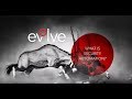 What is Evolve Security Automation?